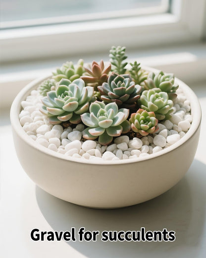 FAHAXIKI 6LB White Succulent & Cactus Gravel Pebbles - 1/4-3/8 Inch Natural Polished River Rocks, Decorative Stones for Plants, Terrariums, Vases, Aquariums & Outdoor Gardening