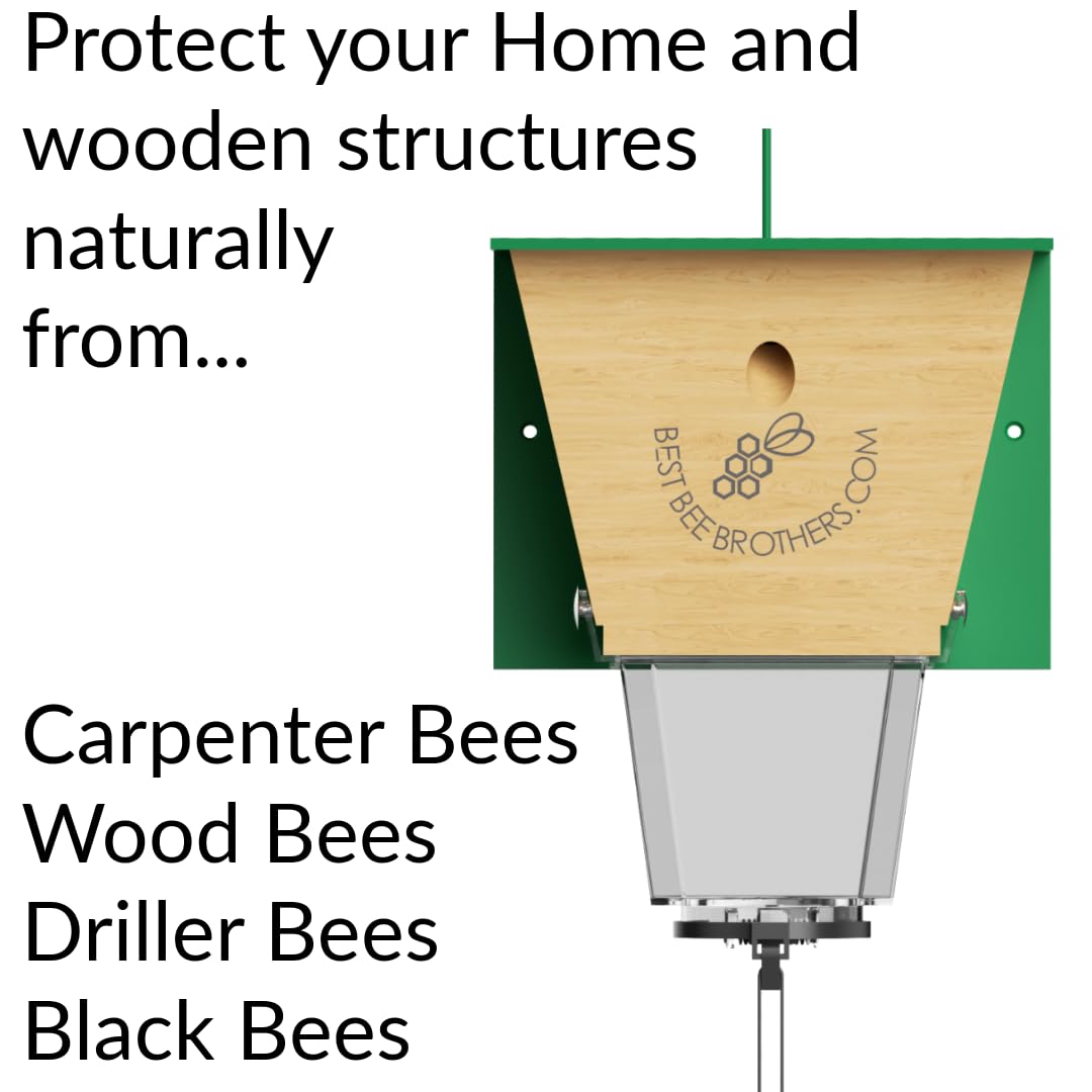 Best Bee Brothers Ultimate Pro Carpenter Bee Trap for Outside with Extra-Large, Clear External Receptacle, Internal Bee Vault & Spring-Loaded Door, 4.2” D x 5.8” W x 7.5” H (2 Pack)