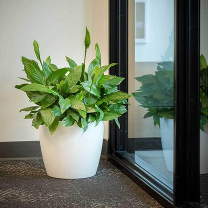Greenline Manufacturing Memphis 18" Round Indoor Floor Planter Pot – Lightweight & Durable Plastic, Modern Design, Made in USA, Recyclable Large Plant Container for Home & Office Décor (White)