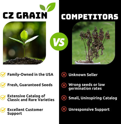 4 Mother of Thousands Live Plants - Kalanchoe daigremontiana - Mexican Hat Plant, Succulent Live Plants - Great Indoor Plant (4 Pack of Plants)