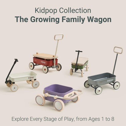 Kidpop Pula-Mini First Wagon for Toddlers, 4-Wheel Baby Pull Toy Cart for Kids Ages 1-3, Indoor & Outdoor Push Walker Toy, Ideal 1 Year Old Birthday Gifts (Grey)