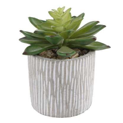 Flora Bunda Mid Century Artificial Plants Cactus Set of 2 Artificial Succulent in 3" Cement Pot Grey Planter, 2 Fake Potted Plants, for Home Office Decorations
