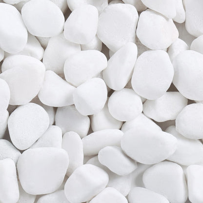 SIDONG 10 lbs White River Rocks, 1.2-2 Inches Pebbles for Indoor Plants, Aquarium Rocks Used in Fish Tank, Decorative Stones for Plants, Vases, Home Décor, Crafting, Garden Landscaping