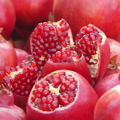 1 Year Old Pomegranate Tree Live Plant, Sweet Red Pomegranate Starter Size Seedling in 4" Pot, for Indoor Outdoor Spring Growing