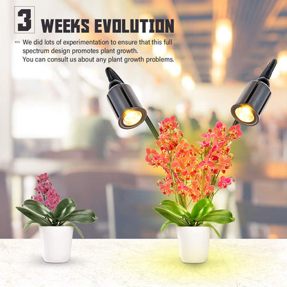 Grow Light for Indoor Plants 7500K Full Spectrum Plant Growing Lamp with Gooseneck Auto On Off Timing 3/6/12H, 4-Level Dimmable 22.5 Inch Longer