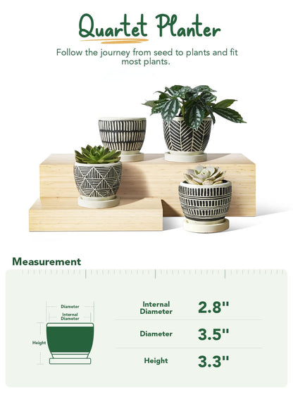 LE TAUCI 3 Inch Boho Succulent Pots, Artisanal Small Succulent Planters, Cement Small Plant Pots for Plants, Box for Mom, Women, Set of 4, Black and Cream White