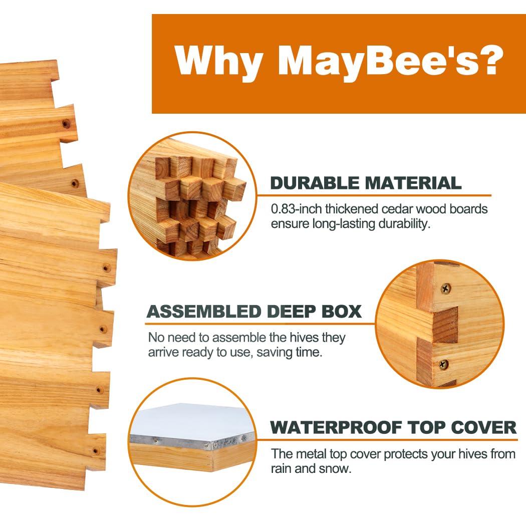 MayBee 10-Frame Beehive Starter Kit, Bee Hive Kit Dipped in 100% Beeswax, Bee Hives Boxes Starter Kit Includes Beekeeping Supplies Tool Kit and Bee Suit