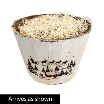 BRECK'S - Miracle Red Flowering Amaryllis Bulb Gift Kit - One Dormant Bulb Pre-Planted in a Wooden Decorative Planter