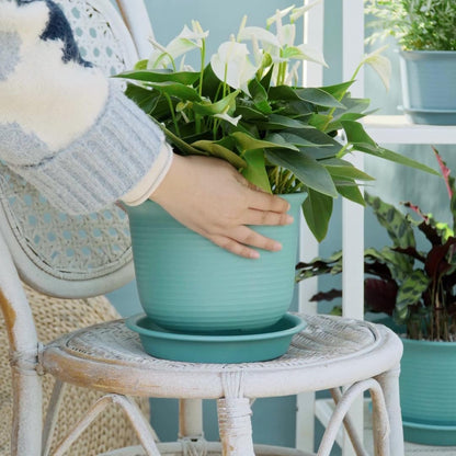 Etvski 7 inch Large Plant Pots, 6 Pack Flower Pots,Planters for Indoor Plants, Planters with Drainage Hole and Tray Saucer