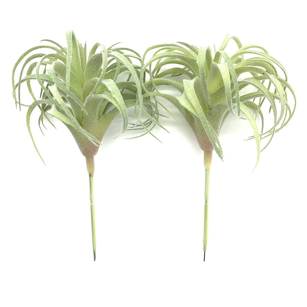 EBUYOM 2 PCS Artificial Succulents Plants Real Touch Lifelike Succulants Plants Faux Greenery Plants Garden DIY Home Office Decoration Ornament (Flocking Air Plant)