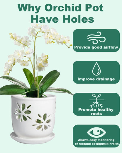 vensovo 6 Inch Orchid Pot with Holes and Saucer - White Ceramic Orchid Planter for Repotting, Flower Pot for Indoor/Outdoor Plants (1 Pack)
