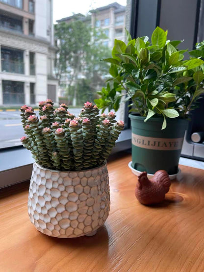 Rustic small 4inch ceramic planter pot for succulent cactus and Indoor Plant, No drainage hole, Short wide mouth small ceramic flower vase for farmhouse,Ceramic Crock ,Countertop Utensil Crock Holder