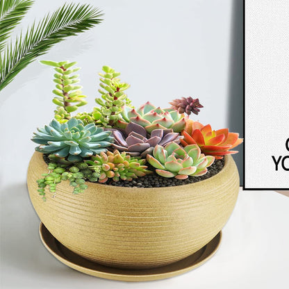 MUZHI 9.5” Round Large Ceramic Bonsai Bowl Planter，Clay Succulent Plant Pot Container with Saucer