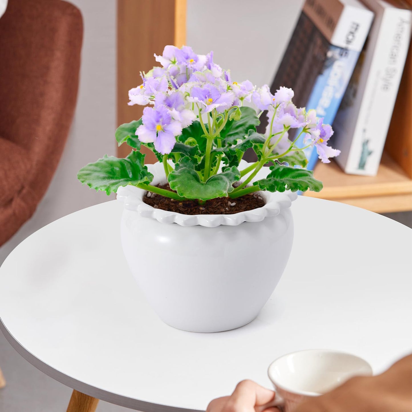 Lovely Ran Self Watering Plant Pot African Violet Pots Ceramic 6.5 * 4.6 * 4 inch White for Indoor Flowers and Plants Simple Plant Self Watering Pot Modern Decor Pots Efficient Absorption Water