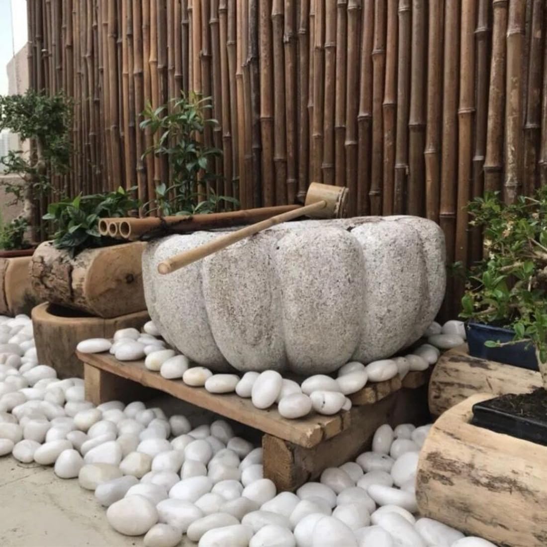 YISZM 10lbs White River Rocks, 2-3 Inch Natural Pebbles for Indoor Plants, High Polished Decorative Stones Vase Filler Fish Tank Aquariums Landscaping Garden Outdoor and Indoor DIY
