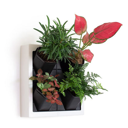 Inspiration Jungle Self Watering Wall Planter with 4 Pots - Easy to Create Indoor Living Wall for Home, Office and Shop Front - Includes Water Gauge (White)