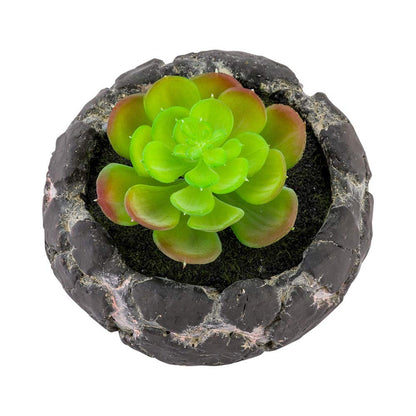 Restaurantware-6 x 4.5 Inch Faux Succulent, 1 Artificial Succulent - In Cement Planter, Use As Table Or Shelf Decor, Centerpiece, Plastic Desk Plant, Planter Mimics The Look Of Volcanic Rocks