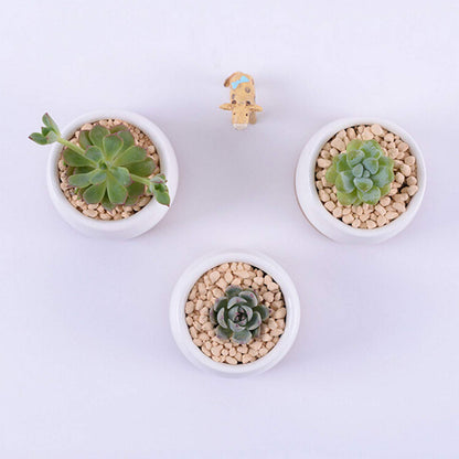 Brajttt Succluent Pots ，Small Flower Pots Planter Pots with Drinage,Ceramic Flowers Pots with Bamboo Tray for Cactus(12 Pack