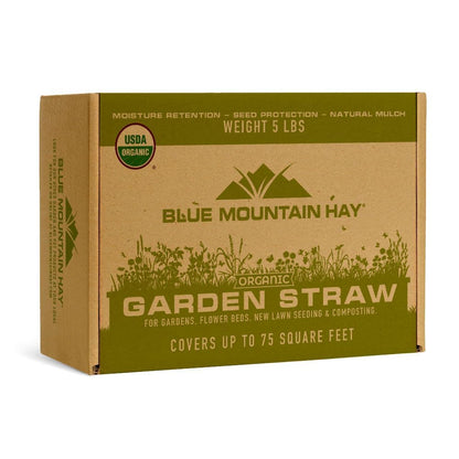 Blue Mountain Hay Organic Garden Straw (5 lb) - Natural Mulch for Gardening, Flower Beds & Landscaping, New Lawn Grass Seeding, Compost, Raised Garden Bed, Cat Grass & Grass Seed