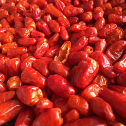 Pequin Peppers Plants, 4 to 6 Inch Tall Pequin Chili Pepper Plant in 4" Pot, Pepper Live Plants Vegetables Pepper Seedlings