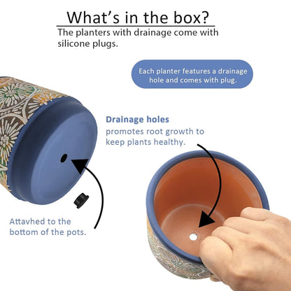 DeeCoo 3 Piece Ceramic Plant pots Indoor Pots Set with Drainage Holes, 5.7/4.7/3.5/inch, Modern Decorative pots Outdoor Plants Lilies, Cacti, Succulents, Snakes, and Bamboo (Blue)
