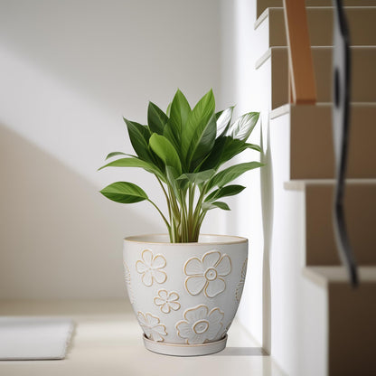 MPotTo 10 Inch Ceramic Planter Pot Large Plant Pot for Indoor Plants Outdoor Round Flower Pot with Drainage Hole and Saucer for Home Garden Decor White