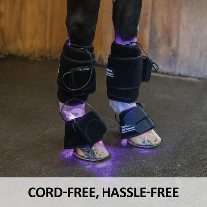 Schneiders EquiCare LED Purple Light Horse Kit | Dual-Wavelength Red & Blue LED System for Equine Wellness Support | Cordless & Rechargeable | Includes Wraps & Bell Boots