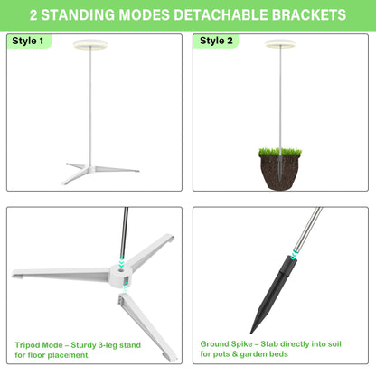 WEEAEEW Grow Light for Indoor Plants with Tripod Stand, Full Spectrum Plant Lamp 61" Tall Halo Grow Lights for Plant with Automatic Timer, 72 LEDs Plant Light Height and Brightness Adjustable