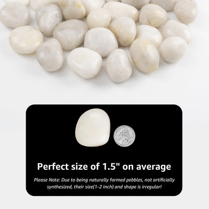 LOOIOOJ 20lbs River Rocks - 1-2Inch Decorative Rocks for Potted Plants, River Rocks for Aquariums, and White Rocks for Landscaping (Weight : 20 LB, White)