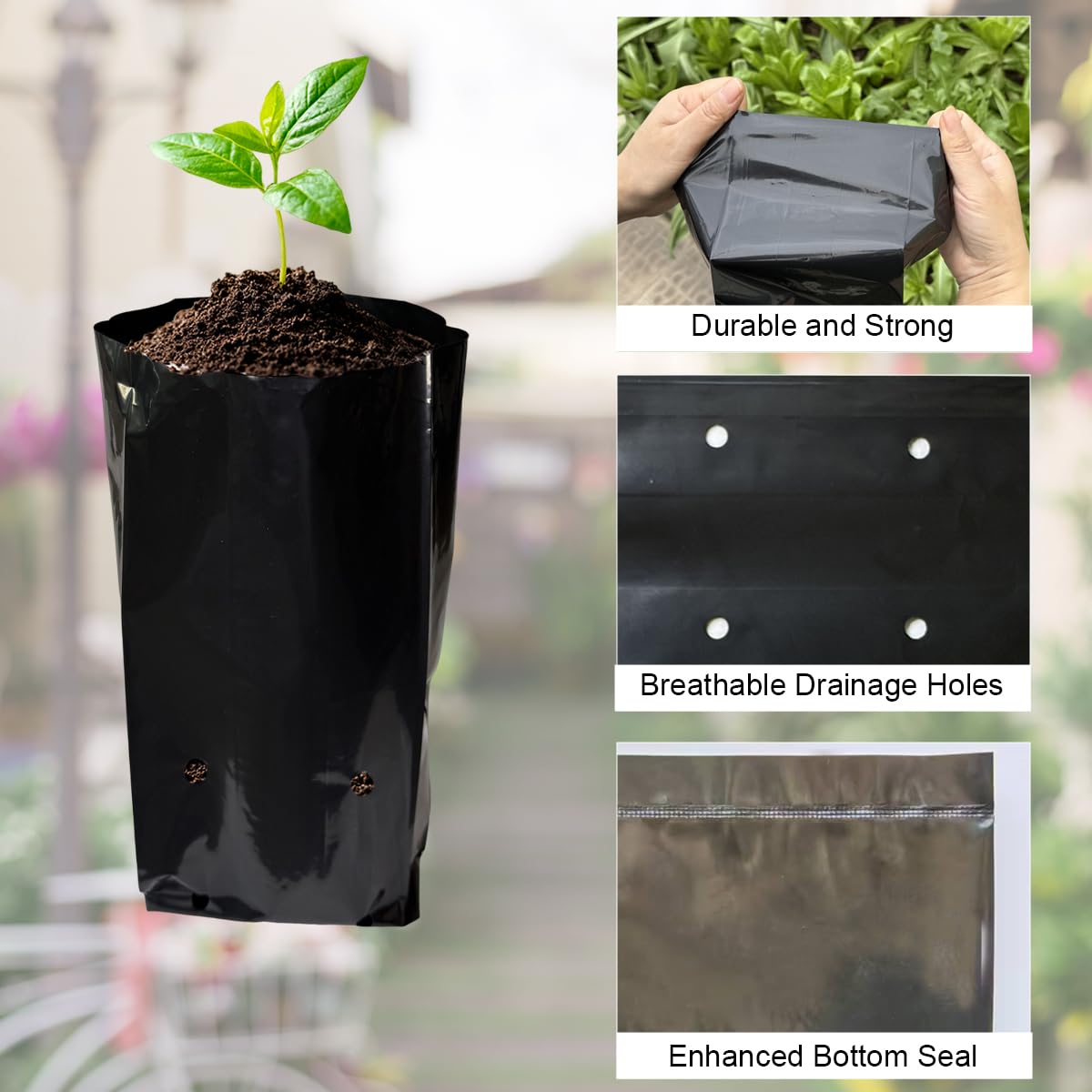 gardtree 100 Pcs Thicken Seedling Nursery Bags, 3.9" x 8" Deep Plastic Grow Bags with Drainage Holes, Heavy Duty Plant Starter Pots for Vegetables, Flowers, Succulents and Cuttings