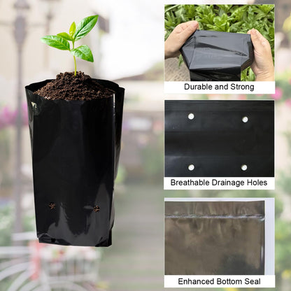 gardtree 100 Pcs Thicken Seedling Nursery Bags, 3.9" x 8" Deep Plastic Grow Bags with Drainage Holes, Heavy Duty Plant Starter Pots for Vegetables, Flowers, Succulents and Cuttings