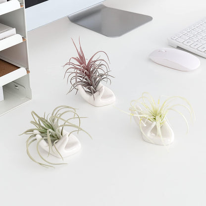 Dahey Mini Air Plant Holder Cute Ceramic Hand Shape Stand Airplants Tillandsia Small Container Pot Plant Decorative Home Decor for Desk Table Shelf, White, 1 Pack (No Plant Included)