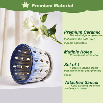 NiSevenLiving Orchid Pots with Holes Attached Saucers 6 Inches - 1 Pcs Small Ceramic Pots for Repotting, Decorative Ceramic Orchid Planter with Hole for Healthy Root Growth Blue Over White