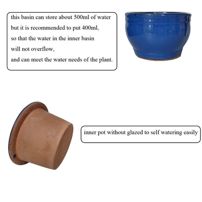 Dphagesy African Violet Pots Self Watering Round Ceramic Violet Pot (Blue, 6 inch)