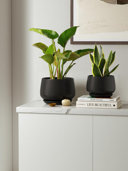 LE TAUCI Plant Pots, 4.1+5.1+6.5 inch, Set of 3, Ceramic Planters with Drainage Hole and Saucer, Indoor Flower Pot with Hole Mesh Pad, Gifts for Mom, Black