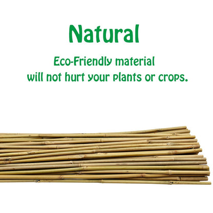 Mininfa Natural Bamboo Stakes 4 Feet, Eco-Friendly Garden Stakes, Plant Stakes Supports Climbing for Tomatoes, Trees, Beans, 25 Pack