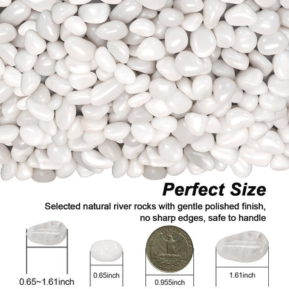 Fish Tank Rocks,Landscaping Pebbles,Decorative Ornamental Pebbles Garden,Landscaping Stones Gravel Filler for Home Decoration Flower Bed Fish Tank Plants Vases Succulents (5 Pounds, White)