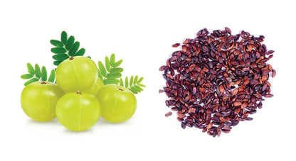 Indian Amla Seeds for Planting, Easy to Grow & High Yield, Home Garden Gooseberry Seeds, Suitable for Pots & Outdoors, Nutrient-Rich & Hardy Variety, Ideal for All Climates, Fast Germination