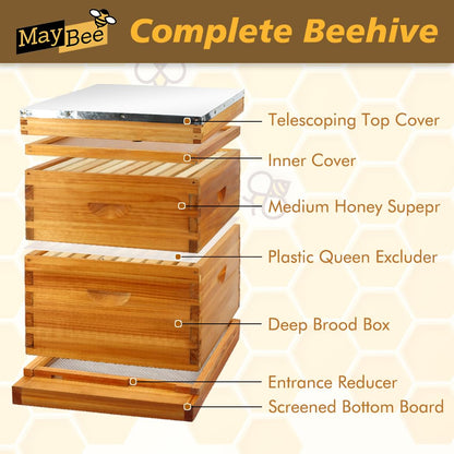 MayBee 10 Frame Screened Bottom Board Beehive Dipped in Original Beeswax, Bee Hives Kit Includes 1 Deep Box & 1 Medium Box with Beehive Frames and Wax Coated Foundations