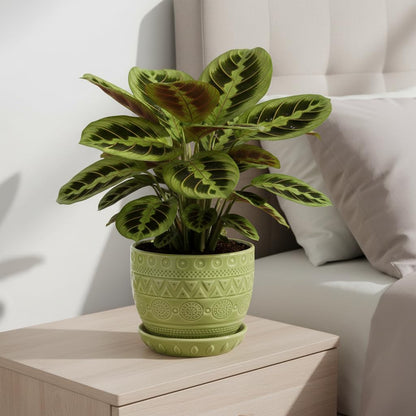 G EPGardening Indoor Plant Pot 5.5 Inch - Ceramic Planter with Drainage Hole and Saucer, Round Boho Plant Pot for Indoor Plants, Plant Lover Gifts, Home Garden Office Decor, Green