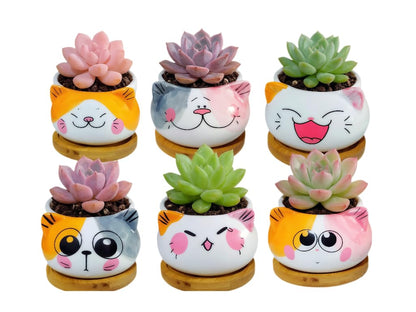 Cuteforyou Cute 3.5 Inches Indoor Cartoon Animal Cat Shaped Ceramic Succulent Cactus Flower Plant Pots with Bamboo Tray-Plant Not Included (6 Corlors)