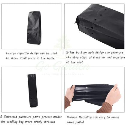 Garden 8 x 10 Inch Plastic Poly Grow Bags for Home Gardens - Perfect for Plantation and Used in Every Plant Nursery - Ideal for Home Plants (Black - 50 Qty)