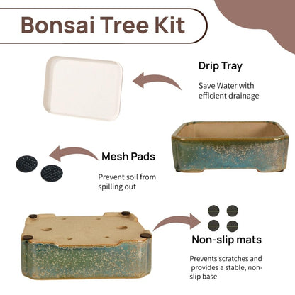 krayce Serenya Ceramic Bonsai Pot Set - 6.3" Rectangular Planter with Drainage Tray, Handmade Kiln-Glazed, Indoor/Outdoor for Succulents, Herbs, Bonsai | Unique Gift for Plant Lovers