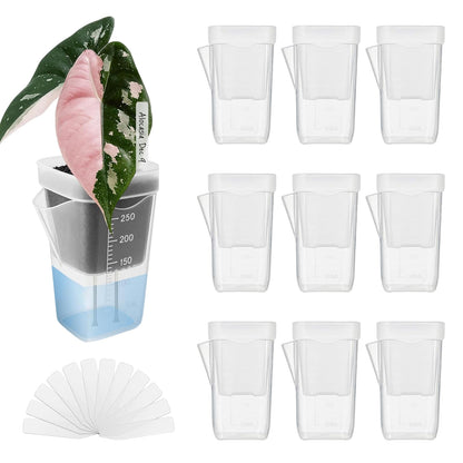 Flower Pots for Plants,Self-Watering Transparent Plant Planter | Mini Clear Flower Containers,for Semi-Hydro Propagation Cuttings Seedlings African Violets Balcony Bedroom Living Room