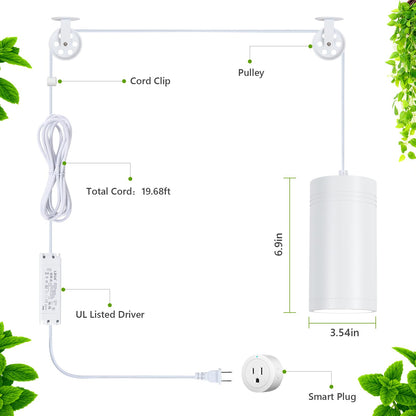 HMVPL Hanging Grow Light, Plant Lights Full Spectrum with 4000K 40W COB Bulb, Pulleys and Smart Timer, Indoor Grow Lamp for Tall Tree Hydroponics