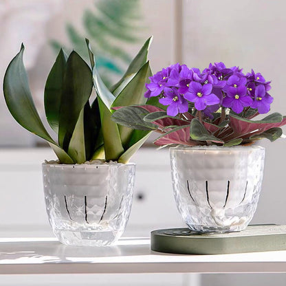 XKYQSY 2 Pack 6 inch Self Watering Pots Planters for Indoor Plants, African Violets Pots with Wick Rope, Modern Plastic Nursery Pots for All House Plants,Flowers Succulents,Herbs,Cactus,Orchids