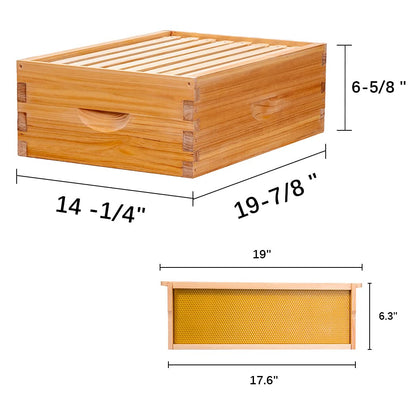 8-Frame Beehive Box Langstroth Medium Super Bee Box for Sale Wax Coated Bee Hives Includes Wooden Frames & Waxed Foundations (Unassembled)