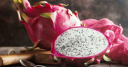 Dragon Fruit Plant Live Pitaya Pitahaya Vietnamese Outdoors 1 Plant Rooted