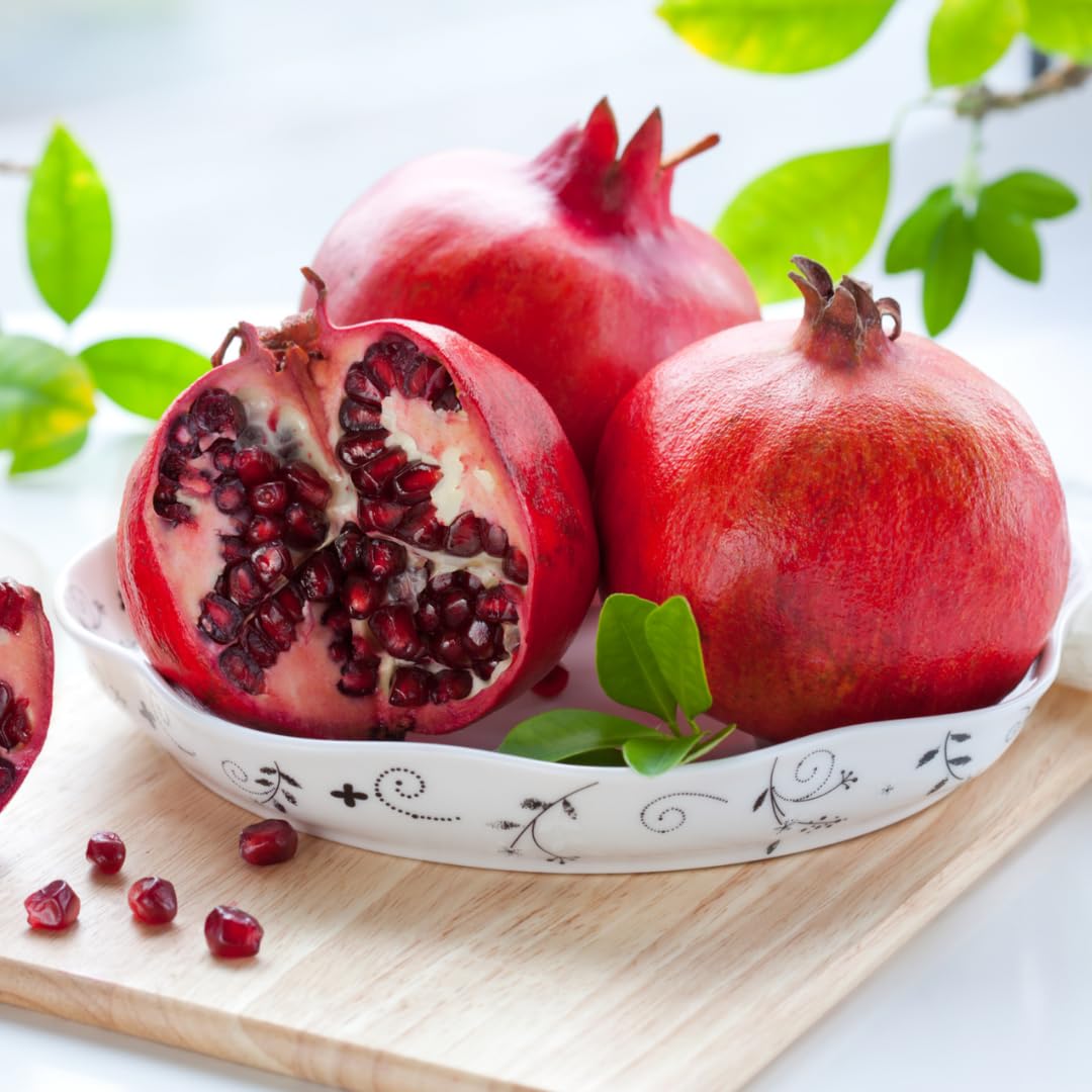 Pomegranate Tree Live Plant, Potted Pomegranate Plant, 6 to 10 Inch Tall, Pomegranate Fruit Tree, Pomegranate Plants Live, Pomegranate Bush, Red Pomegranate Tree, 1 Year-Old Plant