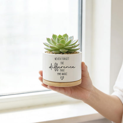 DOFAFALA Funny Planter Succulent Flower Pot, Flower Cactus Planter Gifts, Appreciation Inspirational Gifts for Plant Lovers Women Men Coworkers Home Office Decor (No Plants)